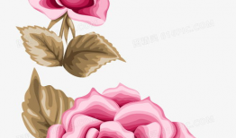 玫瑰动漫,绽放青春，描绘梦想的动漫世界